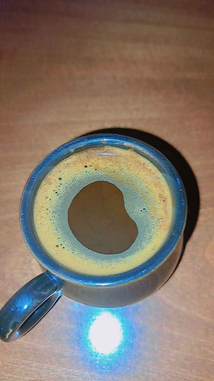 منتجات للقطط