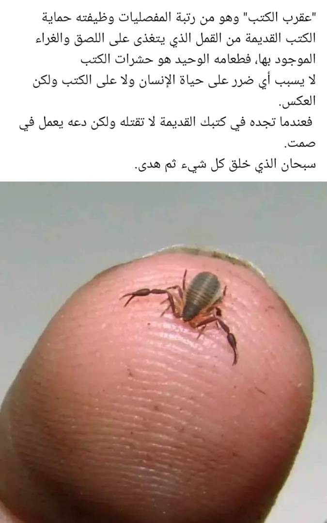 animass post image item 